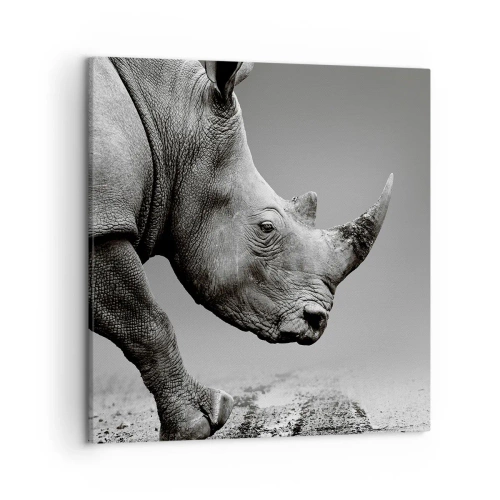 Obraz na plátne - Nezastaviteľná sila - 50x50 cm