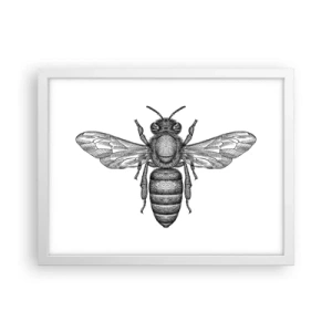 Plagát v bielom ráme - Hmyzí portrét - 40x30 cm
