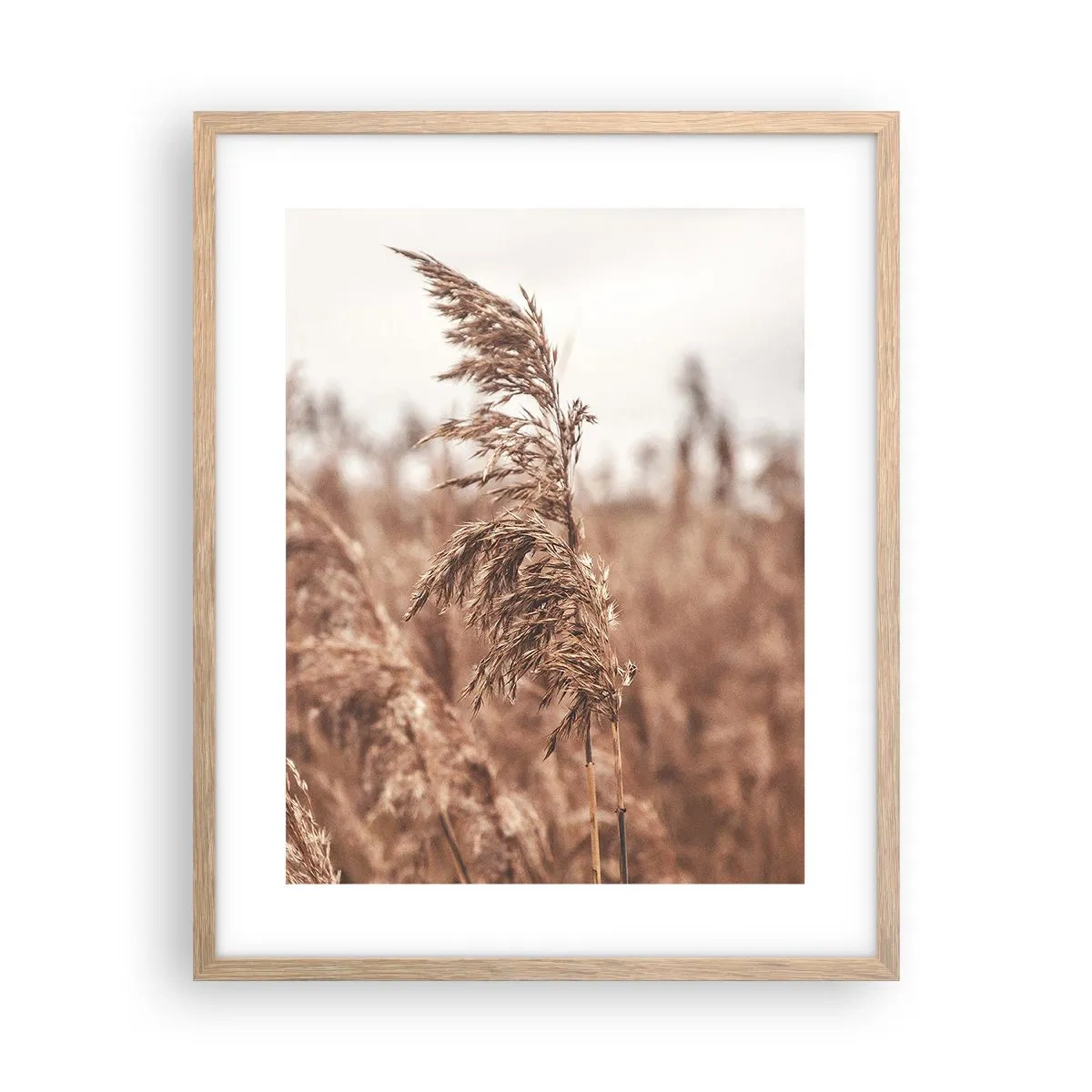 Plagát v ráme zo svetlého duba - Na poliach už je jeseň - 40x50 cm