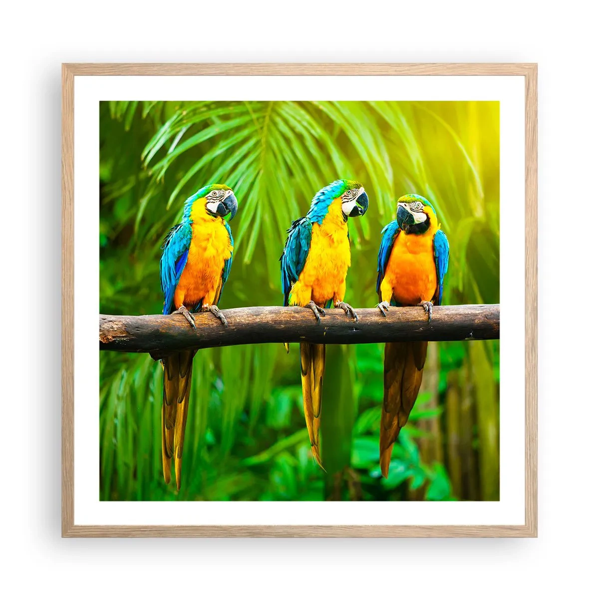 Plagát v ráme zo svetlého duba - Počula si, že ona…? - 60x60 cm