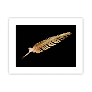 Plagát - Krásne pierko… - 40x30 cm