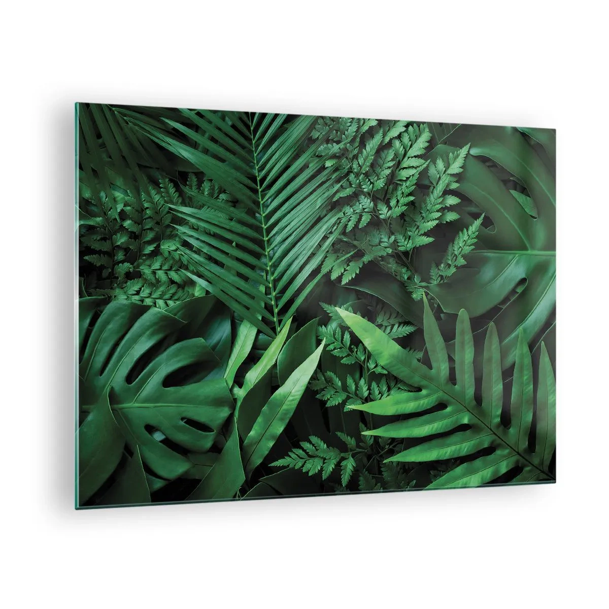 Obraz na skle - Husté zelené listy tropických rastlín v kompozícii - 70x50cm - Objaté v zeleni - Moderná nástenná dekorácia do obývacej izby a spálne ARTTOR