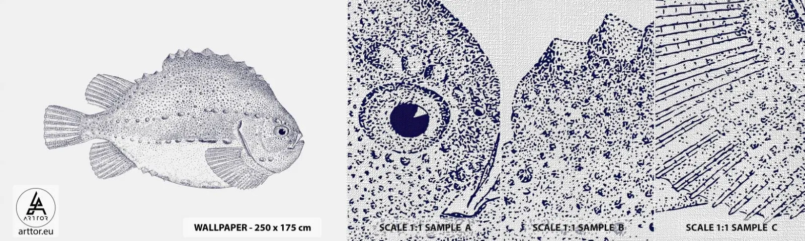 Vzorka fototapety Premium Canvas - Do albumu prírodovedca - Ryby, Námorná, oceán - 100x30 cm