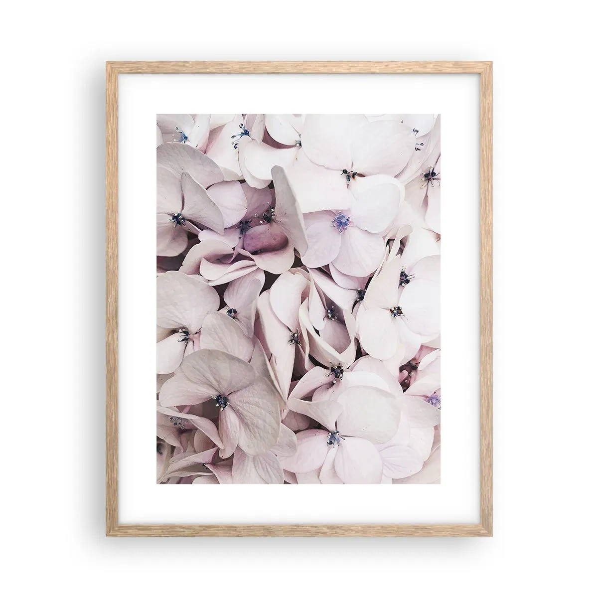 Plagát v ráme zo svetlého duba - V záplave kvetov - 40x50 cm