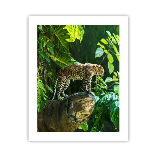 Plagát - Na lov? - 40x50 cm