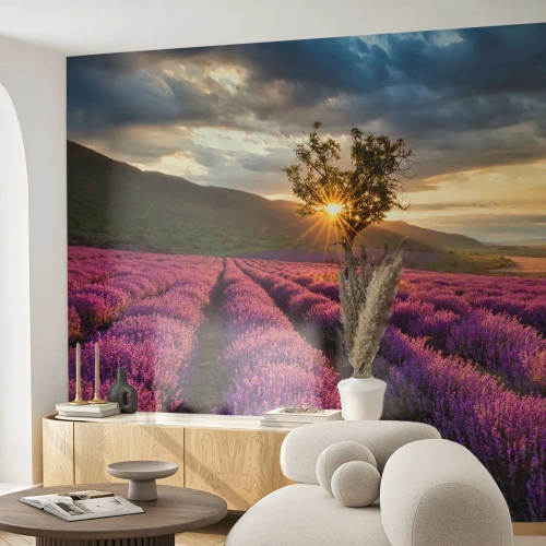 Fototapeta Premium Sand - Aróma vo fialovej - Krajina, Levanduľa, Provence - 100x70 cm