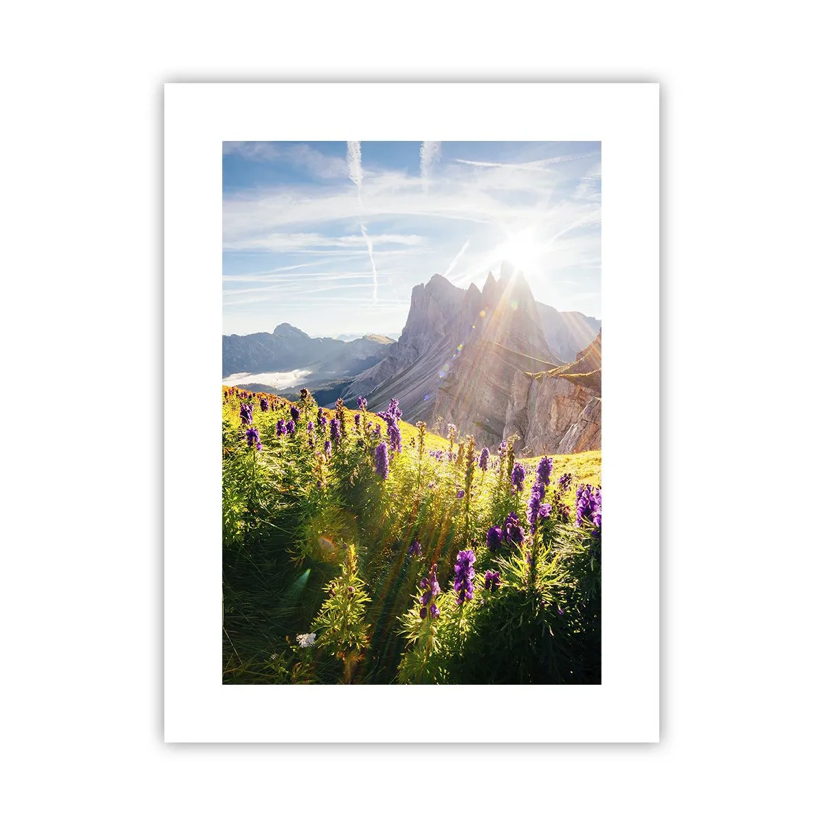 Plagát - Tajomný život bylín - 30x40 cm