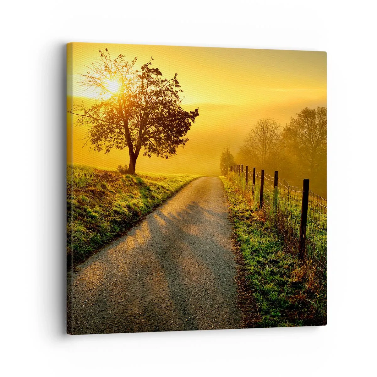 Obraz na plátne - Medové popoludnie - 30x30 cm