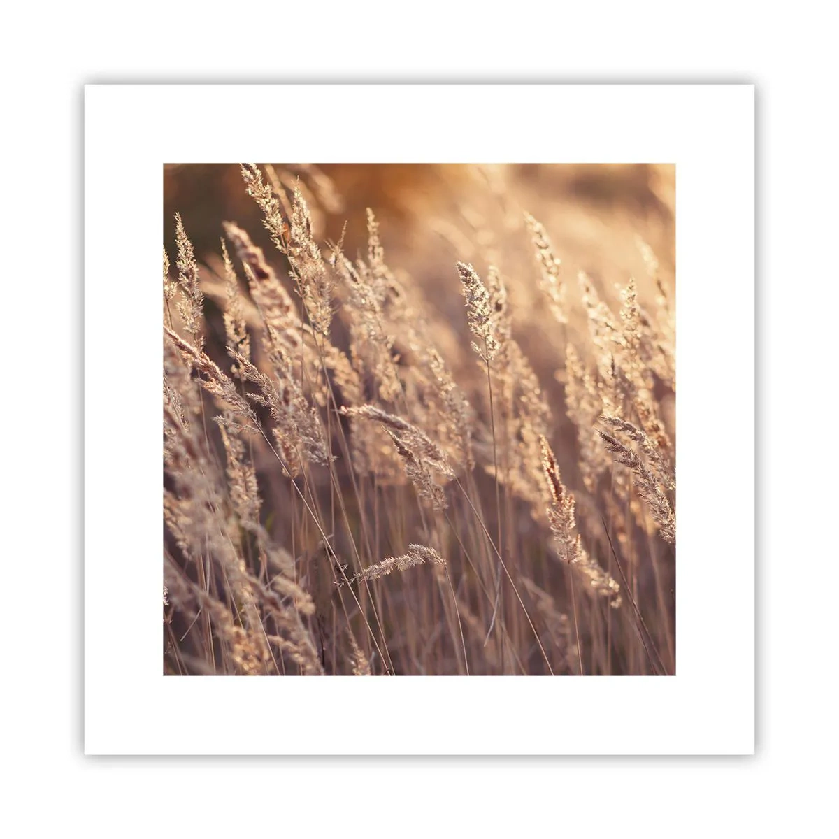 Plagát - Pripravení privítať jeseň - 30x30 cm