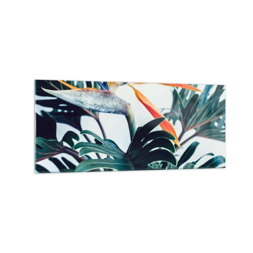 Obraz na skle - Vtáker - 120x50 cm