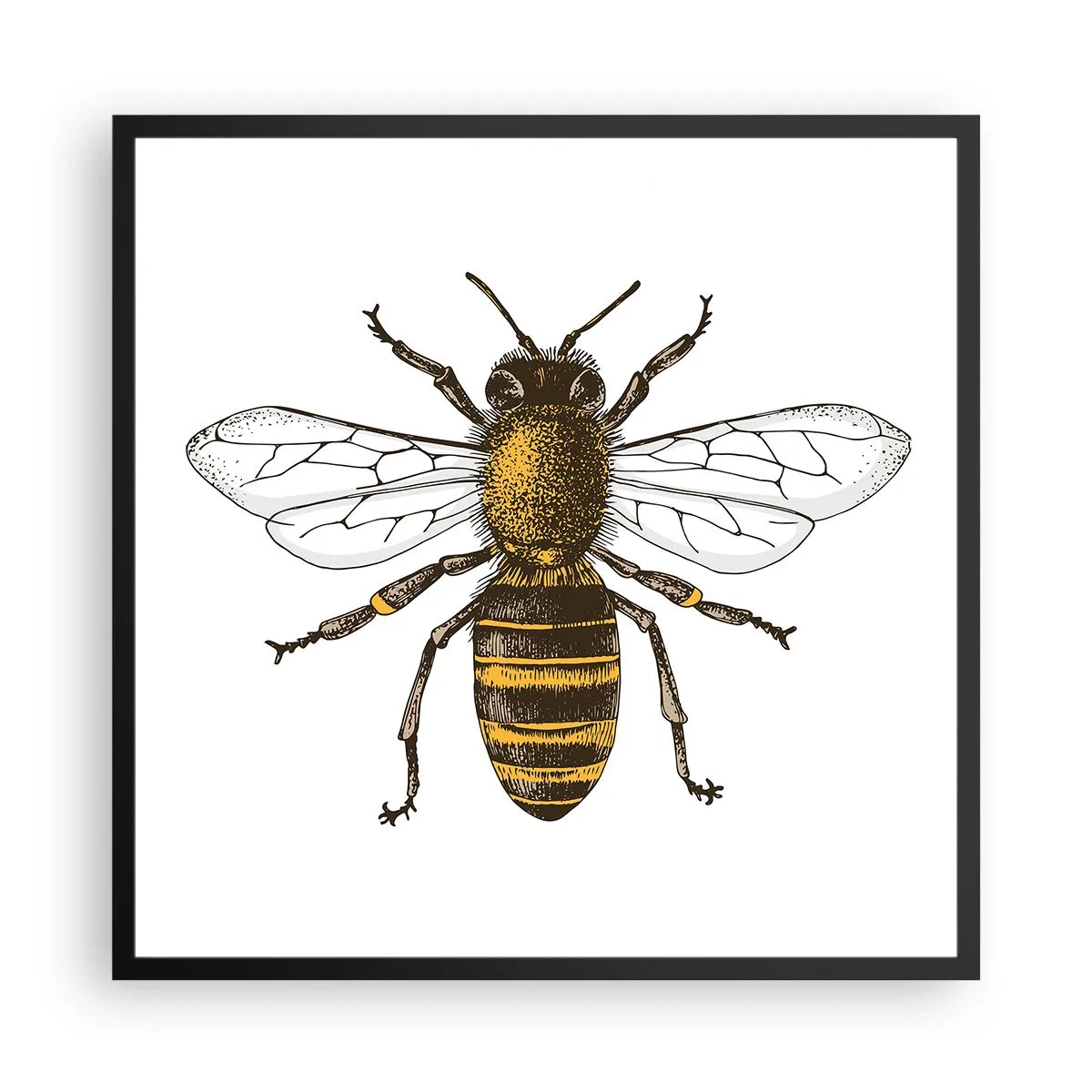 Plagát v čiernom ráme - Krásna a dobrá - 60x60 cm