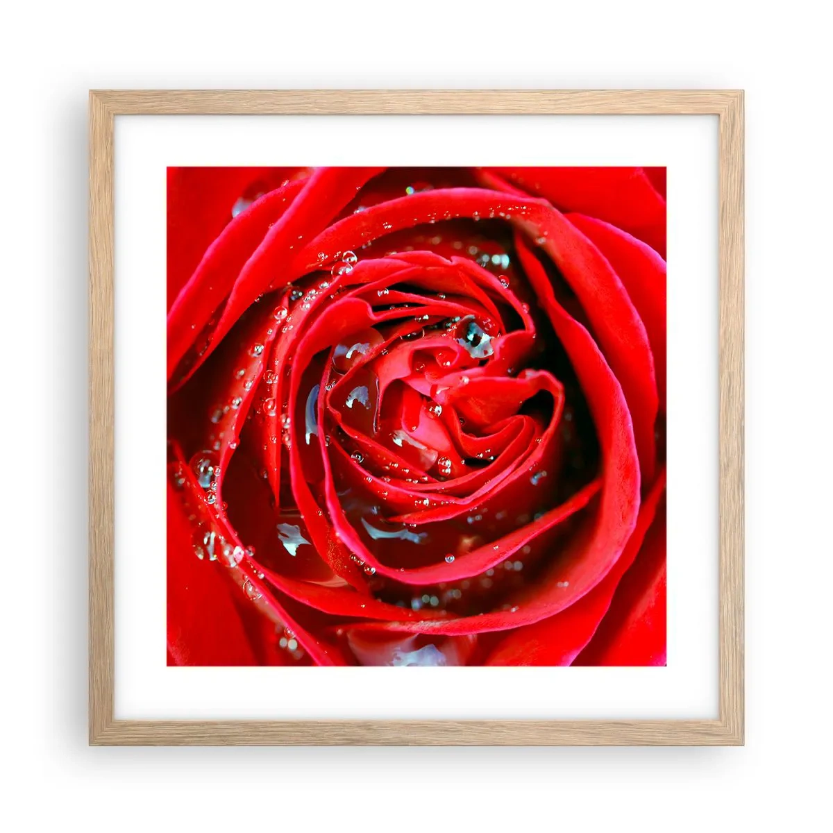 Plagát v ráme zo svetlého duba - V kvapkách rosy - 40x40 cm