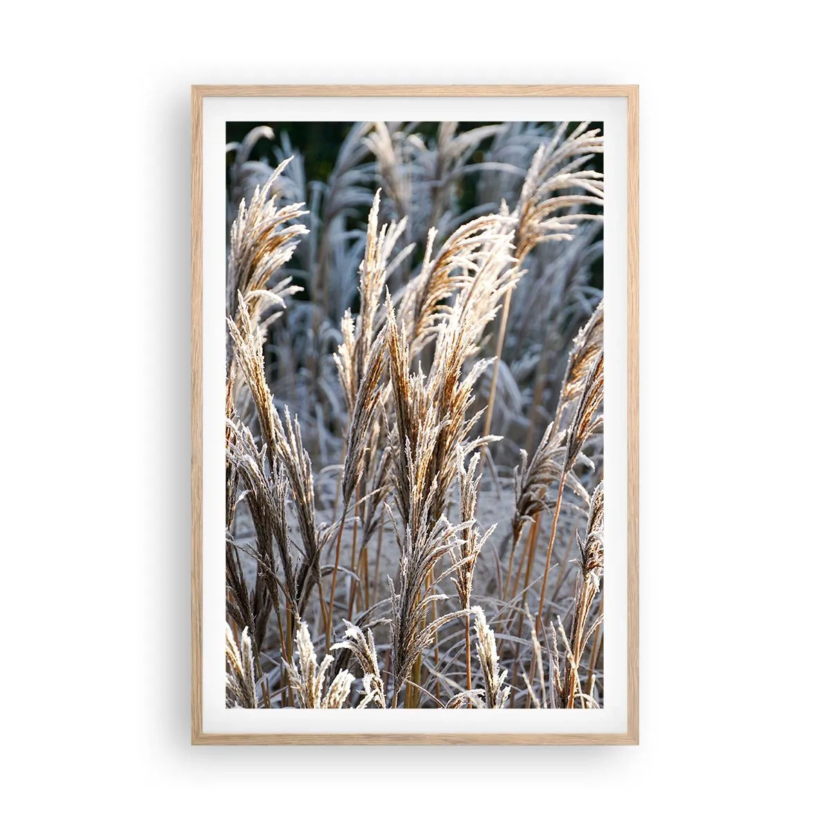 Plagát v ráme zo svetlého duba - Mrazom pokryté - 61x91 cm