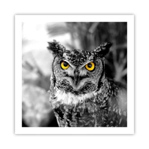 Plagát - Nič sa neschová - 60x60 cm