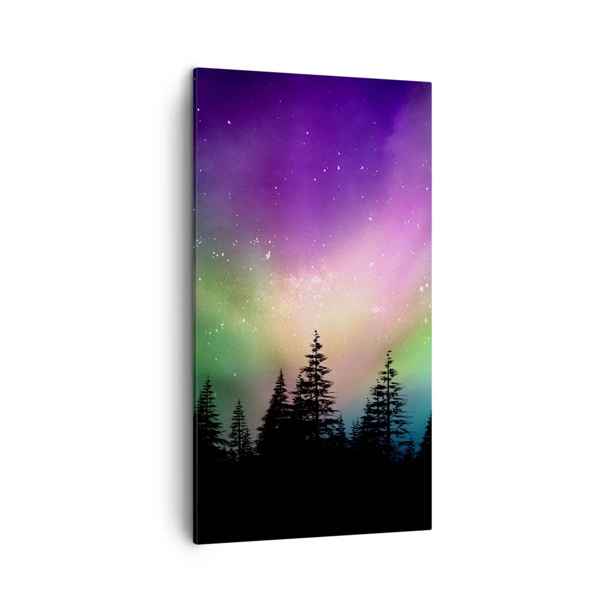 Obraz na plátne - Biela mágia - 45x80 cm