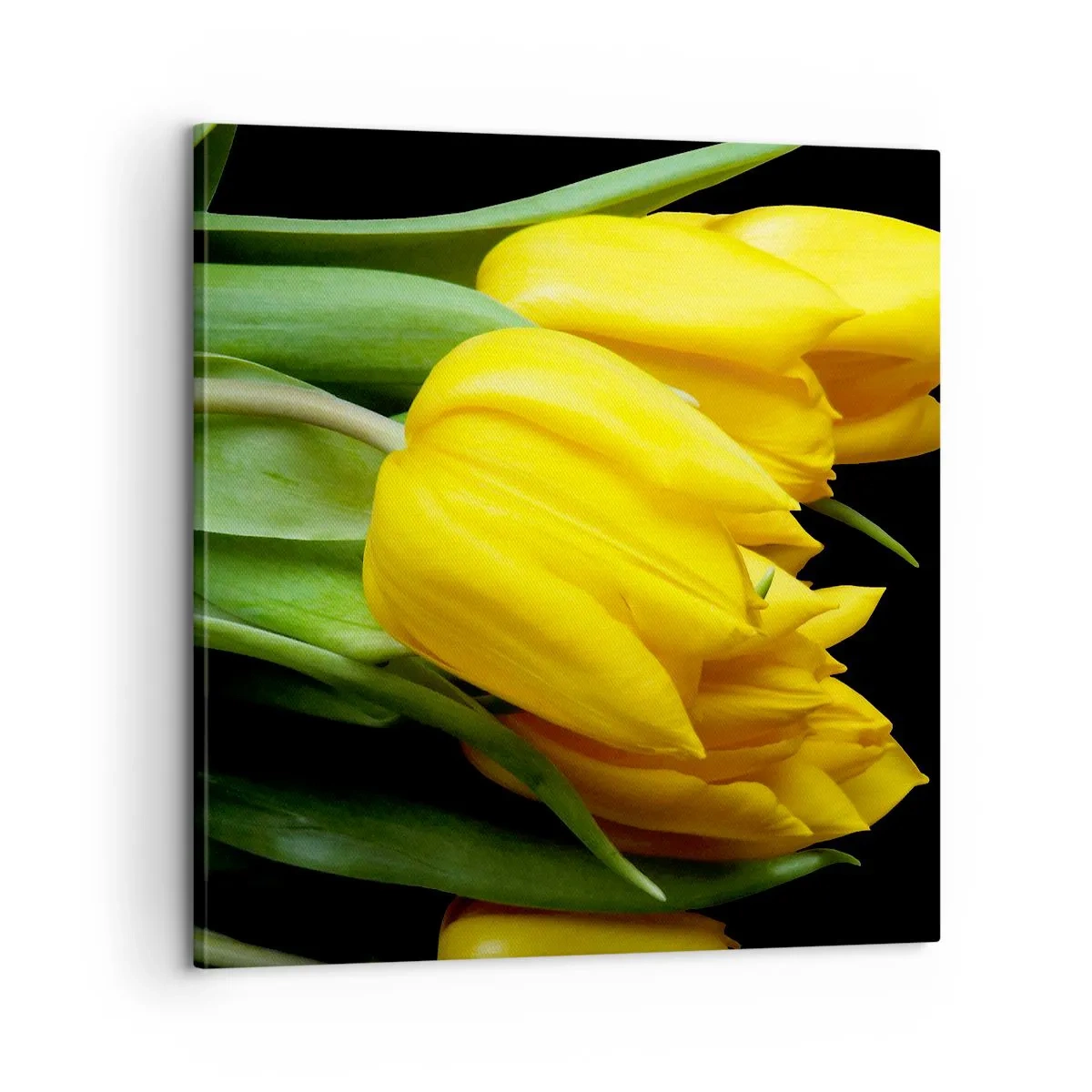 Obraz na plátne - Vznikli z čistého slnka - 60x60 cm