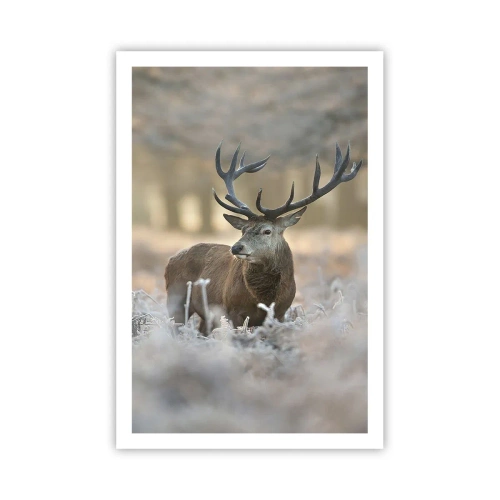 Plagát - Svieže ráno - 61x91 cm