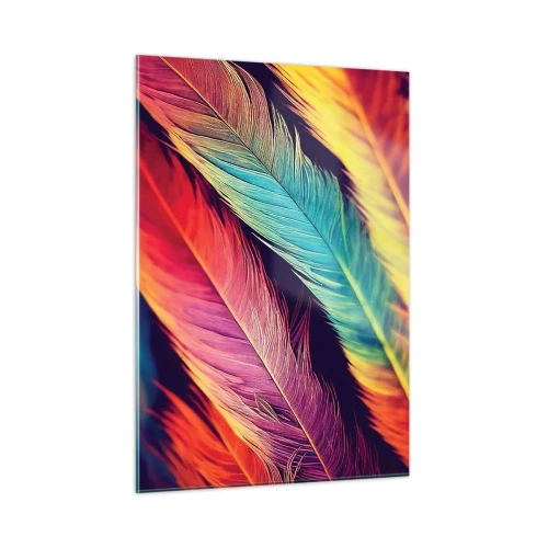Obraz na skle - Operená dúha - 50x70 cm