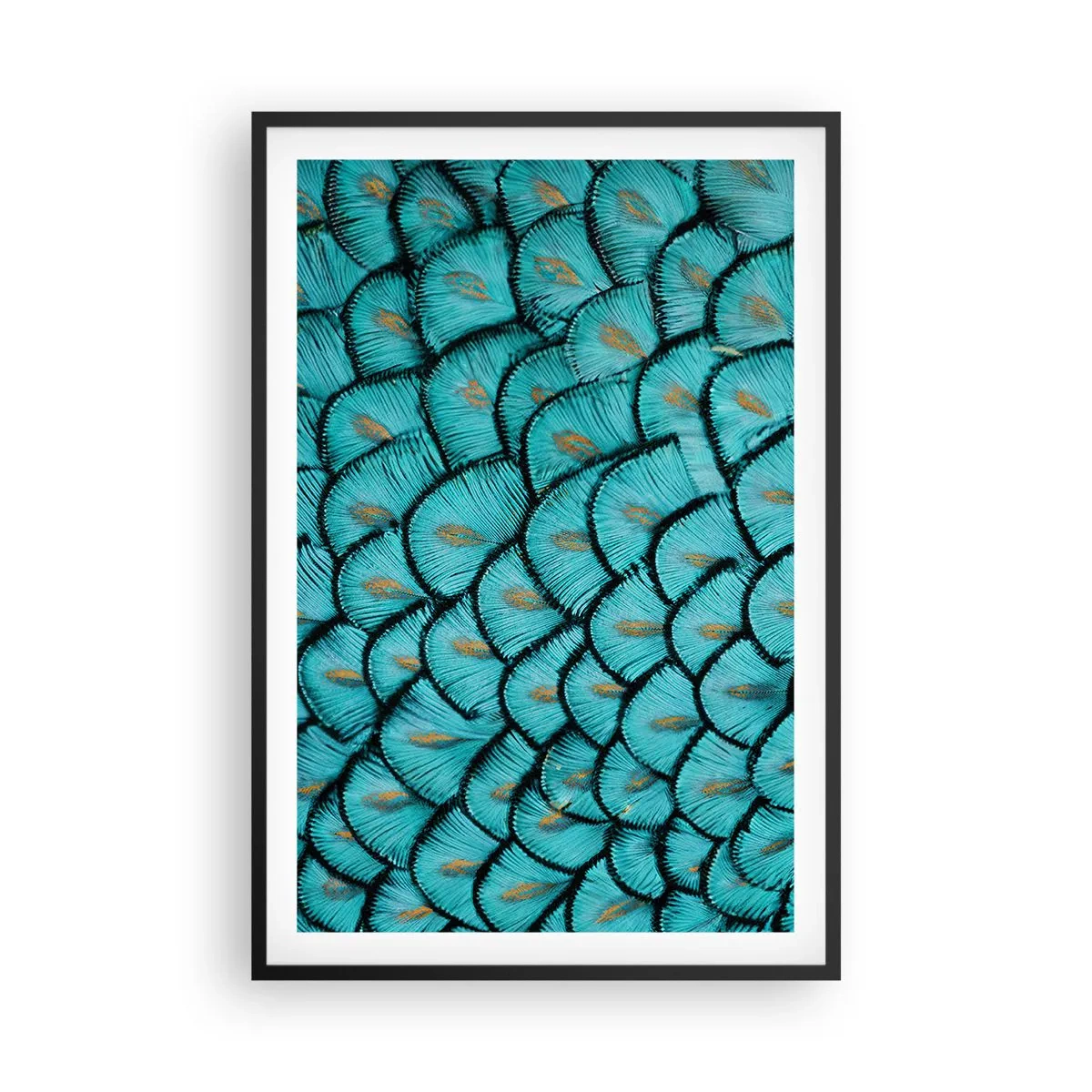 Plagát v čiernom ráme - Veľká slávnosť peria - 61x91 cm