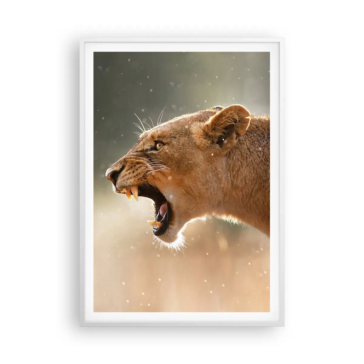 Plagát v bielom ráme - Snaž sa nepočúvať - 70x100 cm