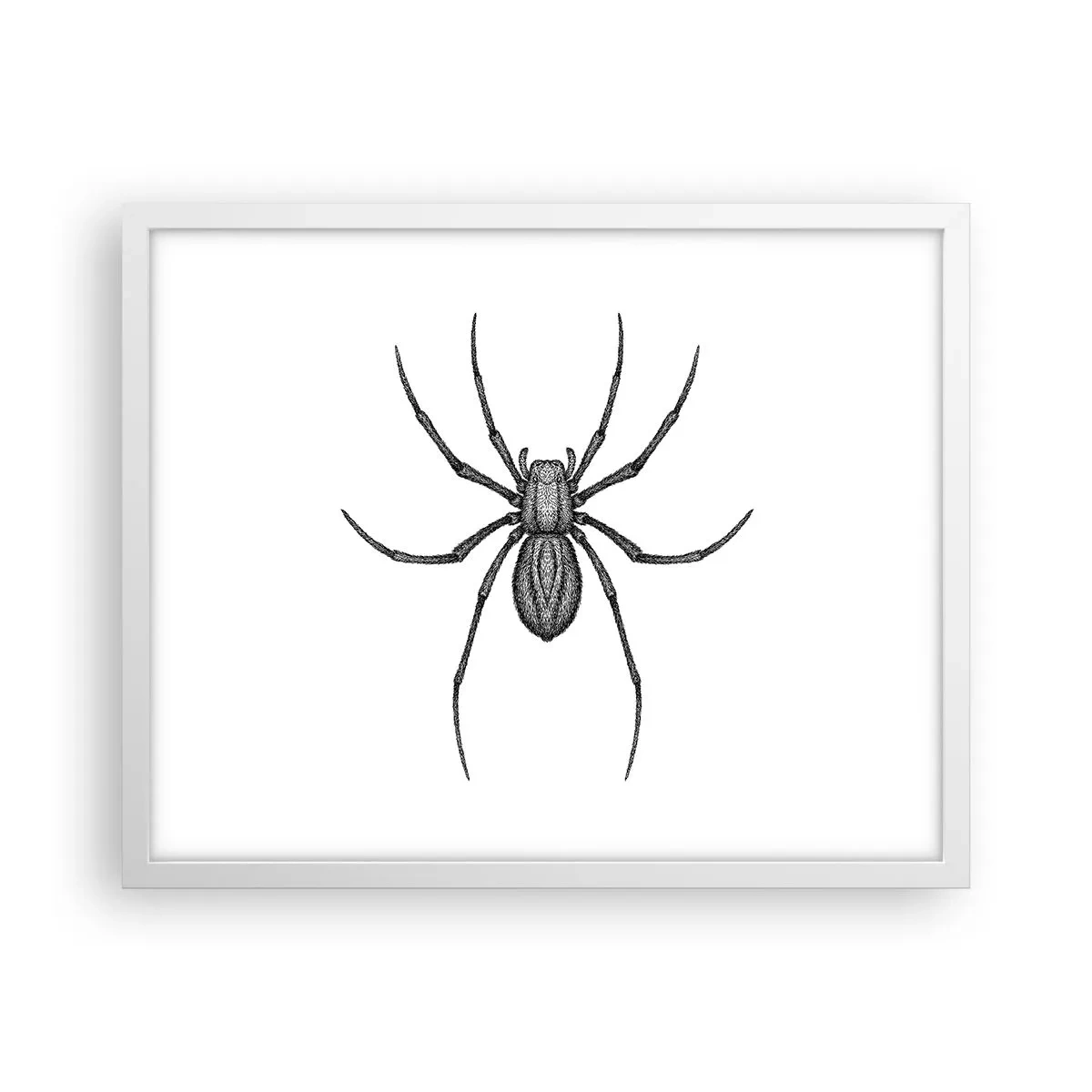 Plagát v bielom ráme - Znepokojivá presnosť - 50x40 cm