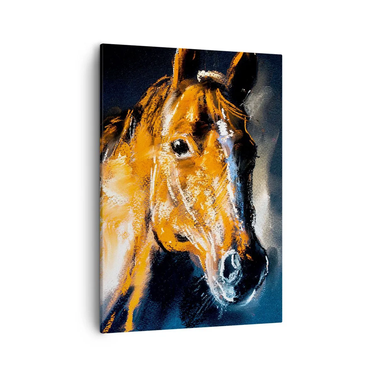 Obraz na plátne - Tak čo, ideš? - 50x70 cm
