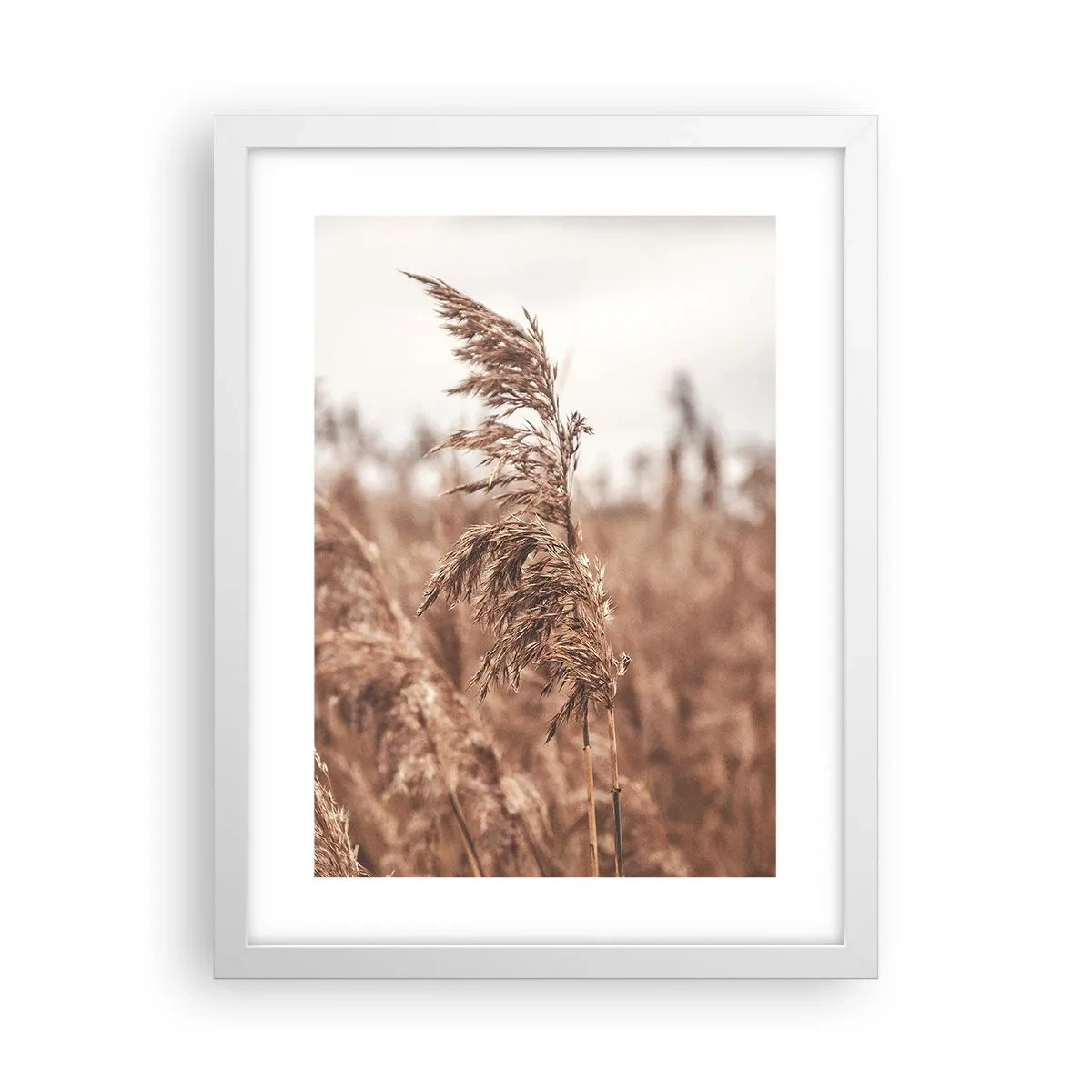 Plagát v bielom ráme - Na poliach už je jeseň - 30x40 cm