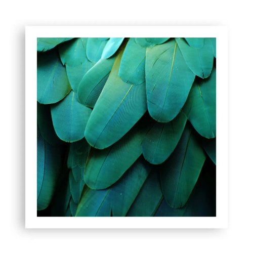Plagát - Presnosť papagájovej povahy - 60x60 cm