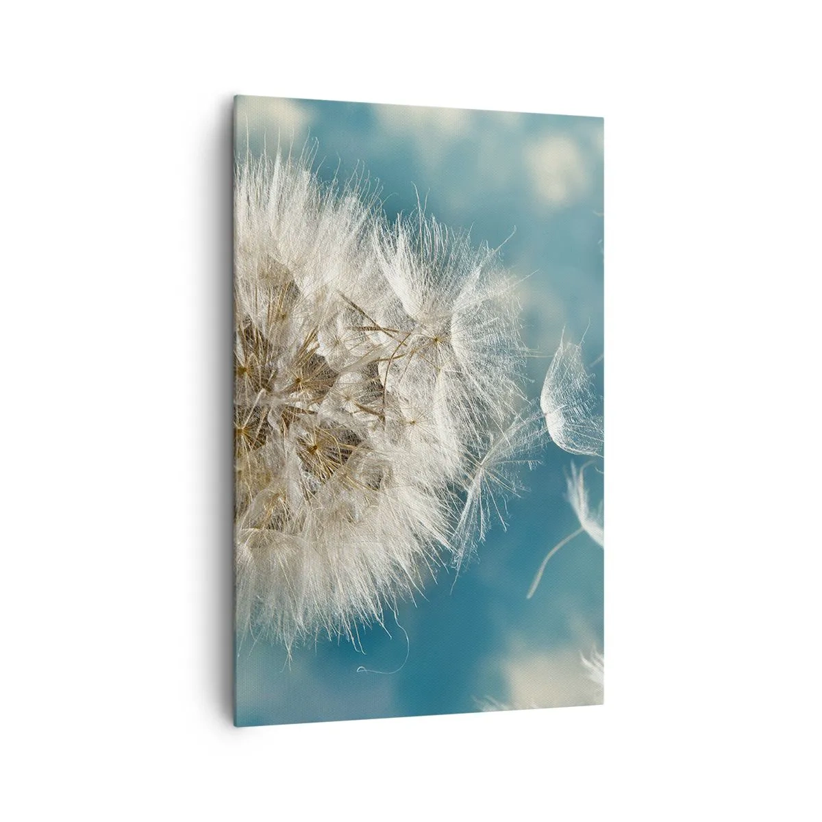 Obraz na plátne - Dych anjela - 80x120 cm