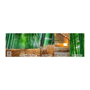 Vzorka samolepiacej fototapety Deluxe Sticker - Esencia ázijskej prírody - Bambus, Bambusový les, Príroda - 100x30 cm