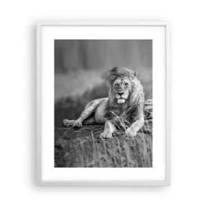 Plagát v bielom ráme - Kráľovská siesta - 40x50 cm