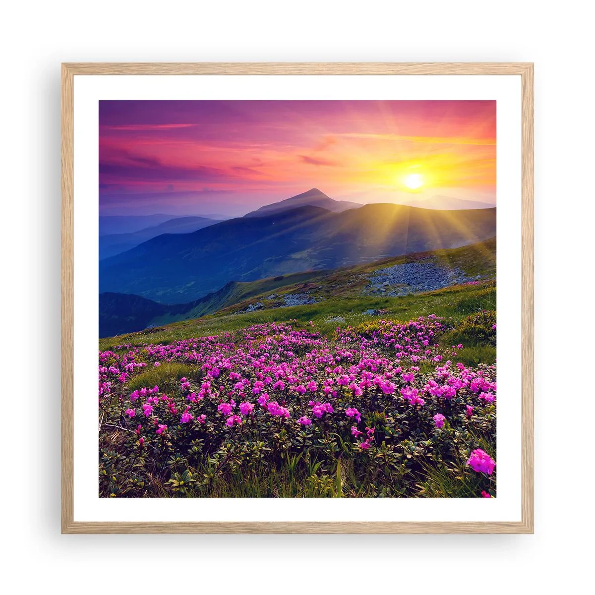 Plagát v ráme zo svetlého duba - …A okolo vonia kosodrevina a voňajú byliny - 60x60 cm