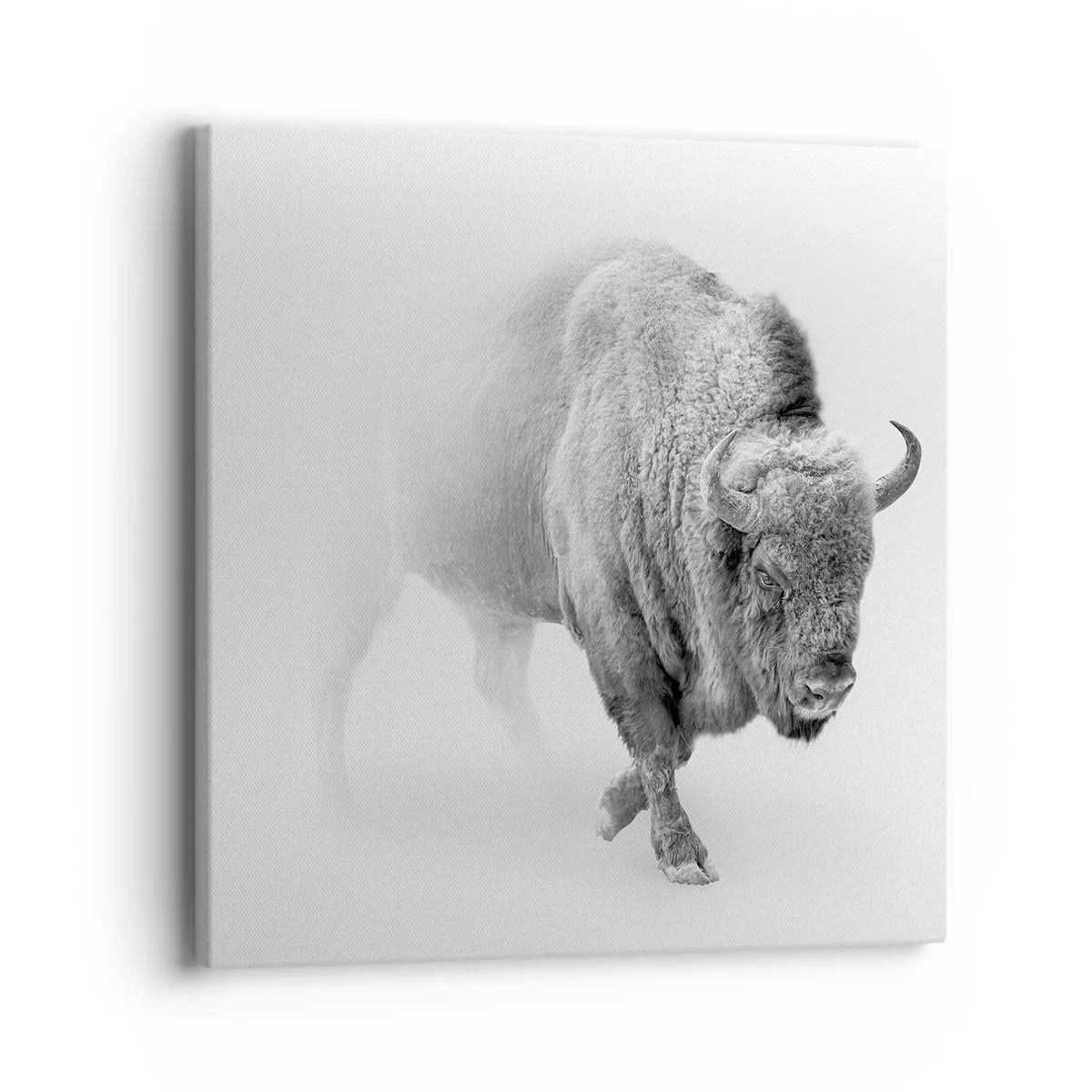 Obraz na plátne - Kráľ prérie - 40x40 cm