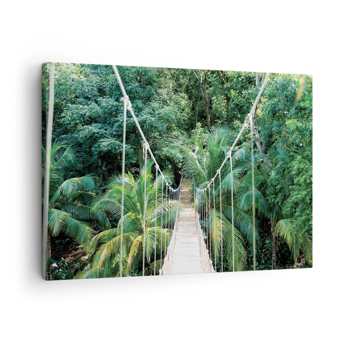 Obraz na plátne - Visutý most v tropickej džungli plnej zelene - 70x50cm - Welcome to the jungle! - Moderná nástenná dekorácia do obývacej izby a spálne ARTTOR