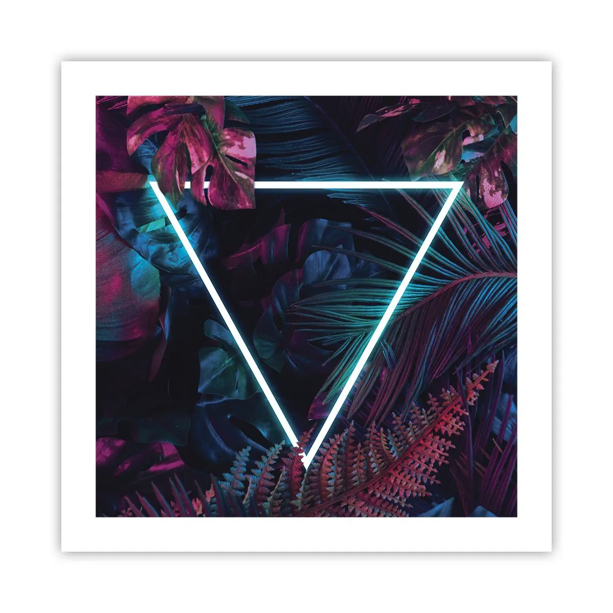 Plagát - Záhrada v disco štýle - 50x50 cm