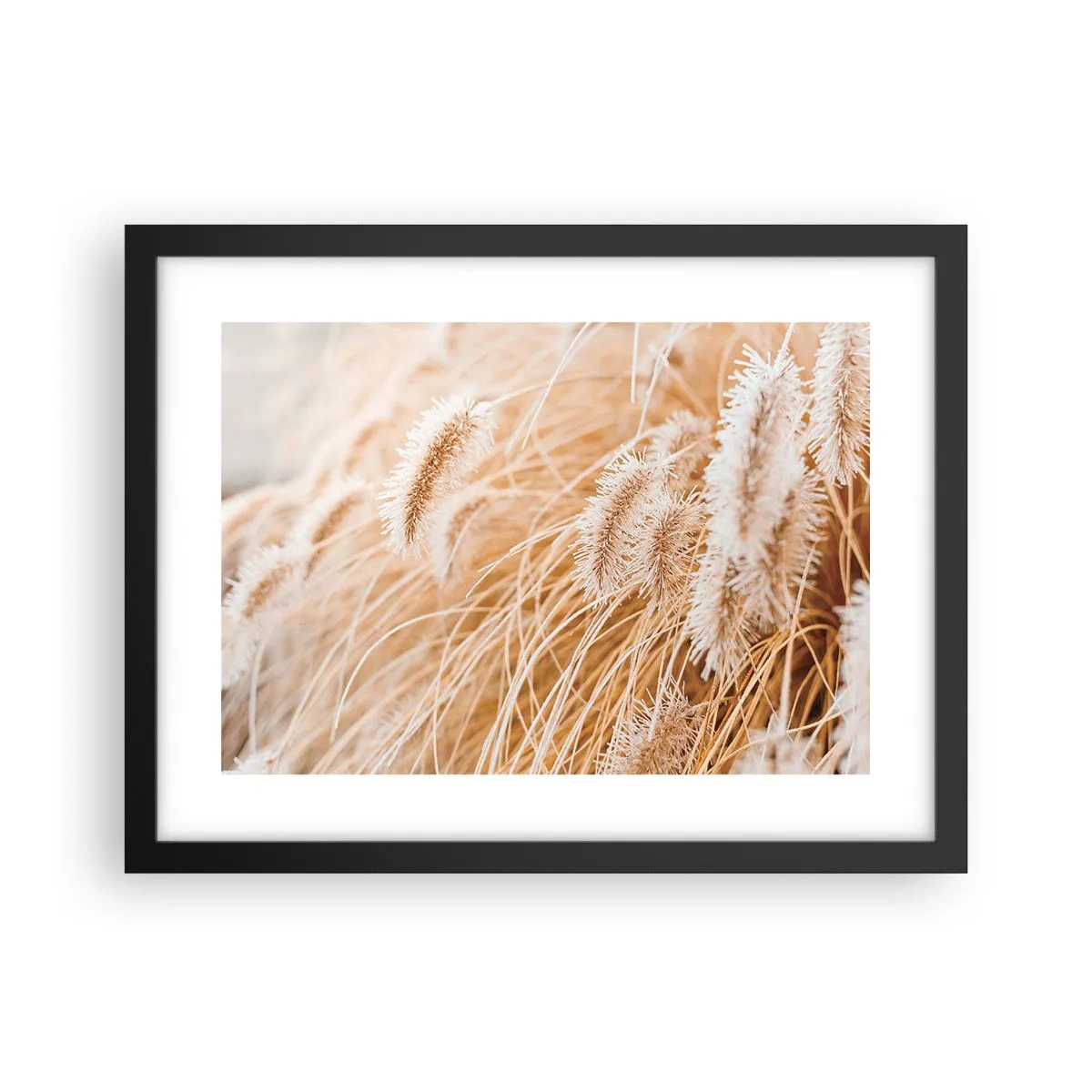 Plagát v čiernom ráme - Zlaté šušťanie tráv - 40x30 cm