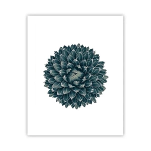 Plagát - Hviezda púšte - 40x50 cm