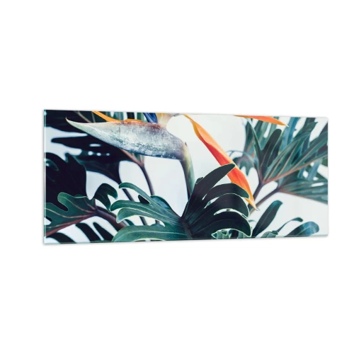 Obraz na skle - Vtáker - 100x40 cm