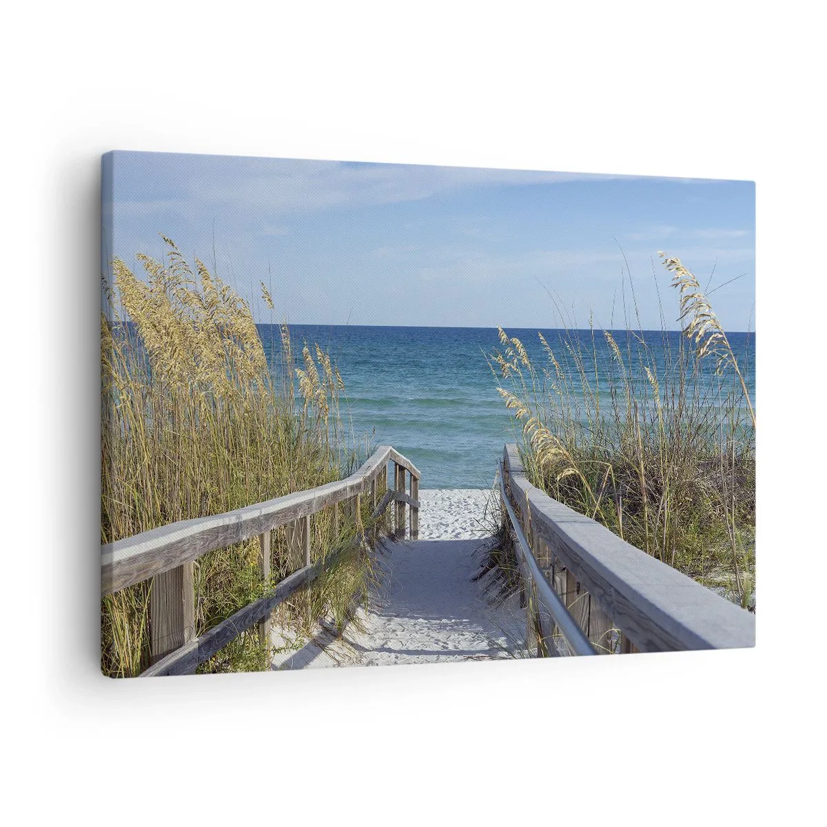 Obraz na plátne - Cesta k pláži s výhľadom na more - 70x50cm - Na slnku, vo vetre - Moderná nástenná dekorácia do obývacej izby a spálne ARTTOR
