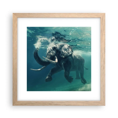 Plagát v ráme zo svetlého duba - Všetci radi plávajú - 30x30 cm