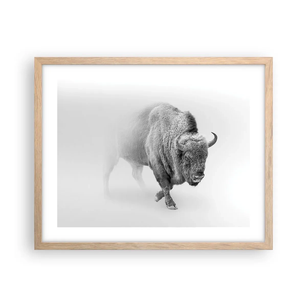 Plagát v ráme zo svetlého duba - Kráľ prérie - 50x40 cm