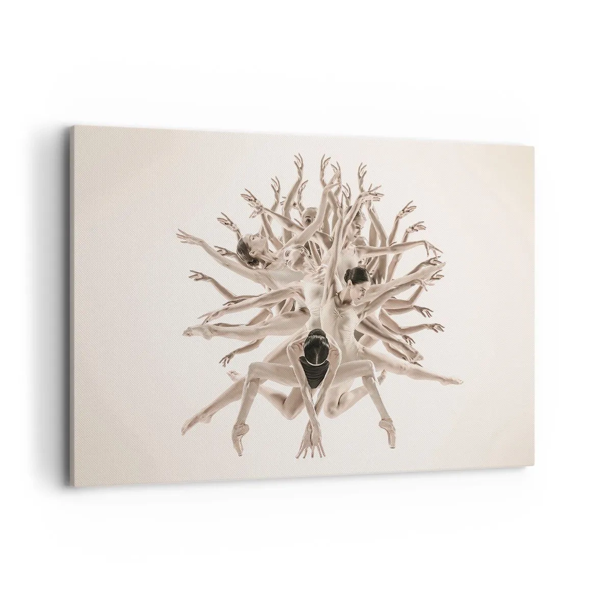 Obraz na plátne - Rozkvet v tanci - 120x80 cm