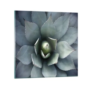 Obraz na skle - Zvádza a varuje - 70x70 cm