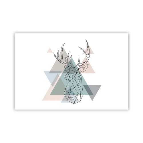 Plagát - V geometrickom lese - 91x61 cm