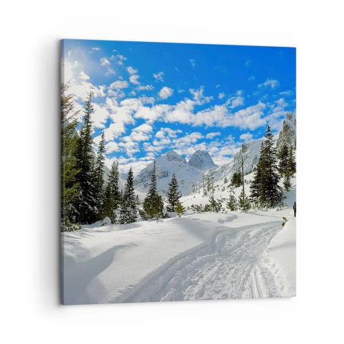 Obraz na plátne - V snehu a na slnku - 50x50 cm