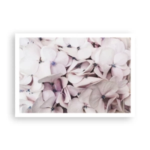 Plagát - V záplave kvetov - 100x70 cm