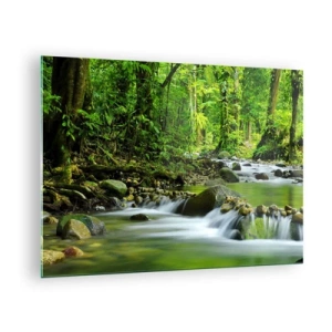 Obraz na skle - Lesný potok obklopený bujnou vegetáciou - 70x50cm - Plávať morom zelene - Moderná nástenná dekorácia do obývacej izby a spálne ARTTOR