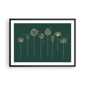 Plagát v čiernom ráme - Bylinky - 70x50 cm