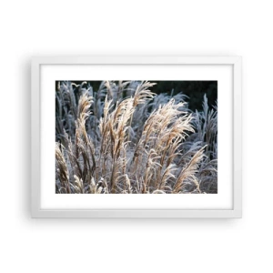 Plagát v bielom ráme - Mrazom pokryté - 40x30 cm