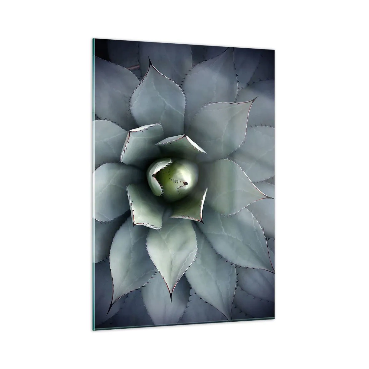 Obraz na skle - Zvádza a varuje - 50x70 cm